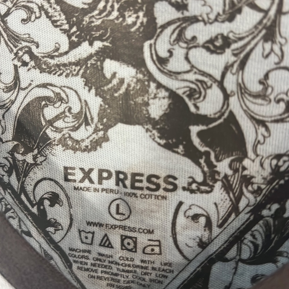Express V-Neck - Picture 4 of 4